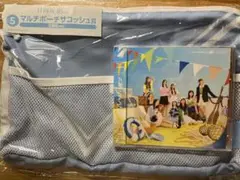 Item thumbnail for item fa51de6a-2890-4f84-aa51-7a214bca46ea