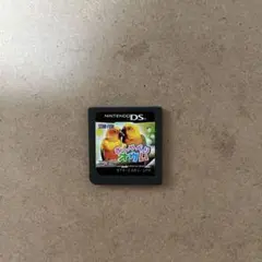 おしゃべりオウム NINTENDO DS ソフトのみ