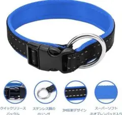 Item thumbnail for item 467d2603-0542-45ca-a438-e8745c65a12f