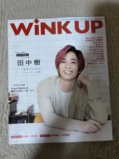 WINK UP 11月号 SixTONES 田中樹