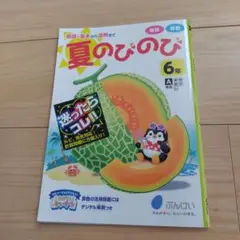 夏のびのび 6年