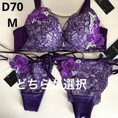 最安値　唯一　サルート　2点　95 D70 M（ショーツはどちらか1枚選択）