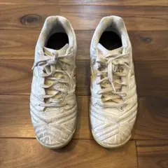 アシックス　トレシュー　24.5センチ