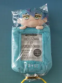カリスマ　湊大瀬　みにコレ！ぬいぐるみ カードホルダー マスコット　③