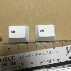 Realforce R3 英語配列　白 alt 2個セット
