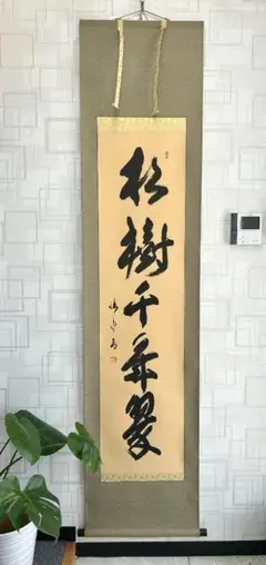 Ｆ１９　掛軸　大徳寺　藤田寛道　『松樹千年翠』　共箱　『真作』　肉筆　一行書 2025年最新】松樹千年翠の人気アイテム - メルカリ