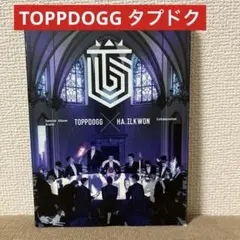 TOPPDOGG タプドク【Arario】韓国盤CD トレカ2枚　●バラ売り不可