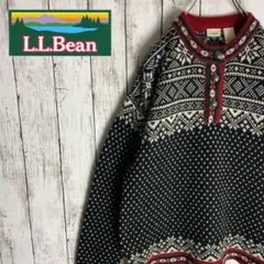 【L.L.Bean】エルエルビーン バーズアイ ニット メタルボタン ウール