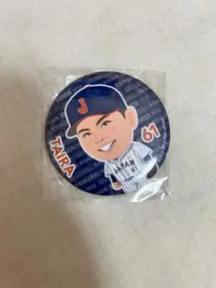 プレミア12 侍ジャパン　平良海馬