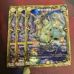 絶対の楯騎士　b