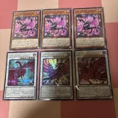ローズドラゴン　6枚