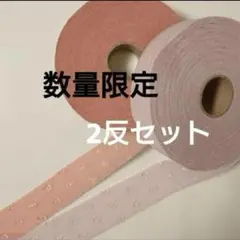 ☆特別SALE☆　バイアス・リボン　小花柄　２反セット