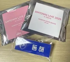 SMTOWN LIVE 2025 in TOKYO ネームバッジ　ドンへ