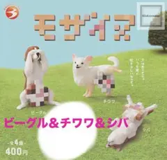 モザイヌセット♡