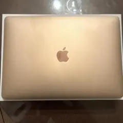 ジャンクApple MacBook Air 13インチ M1 256GB SSD