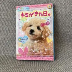 キミがきた日。犬の絵本