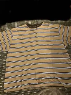 necessary or unnecessary ボーダーtシャツ