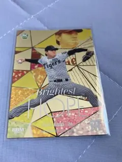 bbm 阪神タイガース 2025 工藤 /50 ルーキー