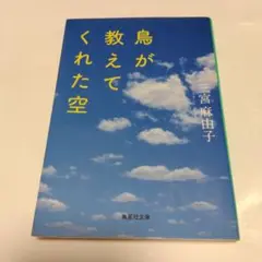 鳥が教えてくれた空 一宮麻由子　中古本になります。
