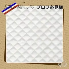 プロフ必見 様