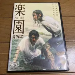 楽園 流されて DVD 亀井亨