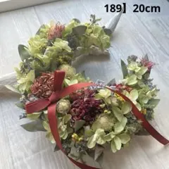 189】ドライフラワーリース　秋色紫陽花アナベル　柏葉紫陽花　夏リース　新品白箱