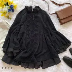 ETRE TOKYO (エトレトウキョウ)ジオメトリックレースブラウス