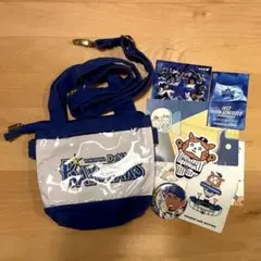 横浜DeNAベイスターズ グッズまとめ売りセット（チケットホルダー等）