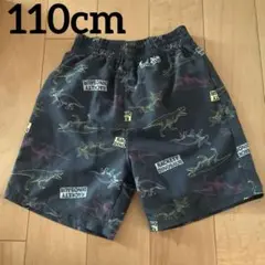 ★美品★恐竜柄水着 サイズ110