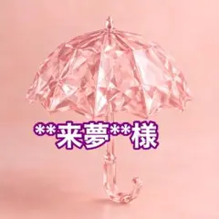 **来夢**様