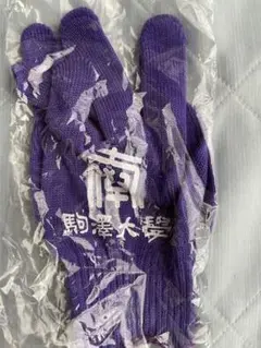 駒澤大学 手袋
