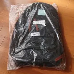 新品 NEXUSⅦ グレゴリー ジェネラルリサーチ パラサイト DAYPACK