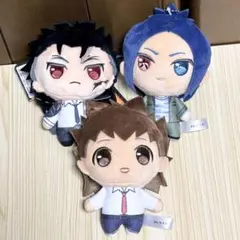 【匿名配送】家庭教師ヒットマン REBORN! 沢田綱吉 XANXUS 六道骸