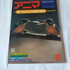 アニマ　１９７８年６月号