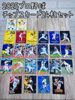 2025 プロ野球チップスカード 24枚セット