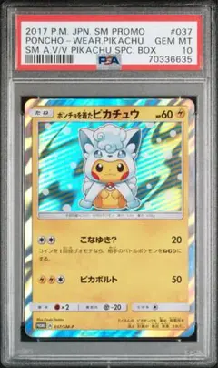 本日特価】 買取】ポンチョを着たピカチュウ(アローラロコン