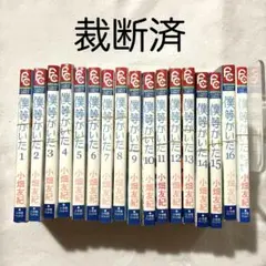 【裁断済・送料込】 僕等がいた 全巻 + ファンブック 計17冊セット