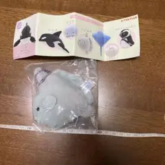 水族館のいきもの2 マンボウ