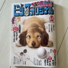 ビッグコミックオリジナル　8月20日号　最新号