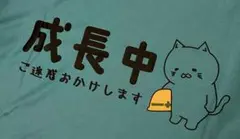 おもしろドライTシャツ　グリーン系　L