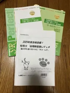 【訳あり】　LEC 2025 社会保険労務士 労働一般常識　一問一答　ネコレジ