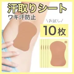 Item thumbnail for item a4d8a6fa-7b2f-4e5a-853e-e18e4dd3a8f5