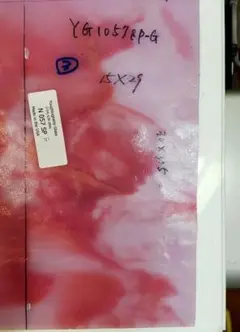 ③YG 057 SP ピンクとアイスホワイトステップル15×29板ガラス