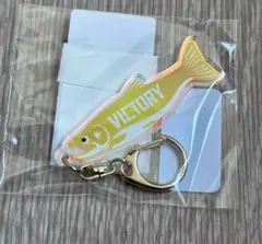 ✨新品✨ VICTORY しゃけまる オーロラアクリルキーホルダー ビクトリー