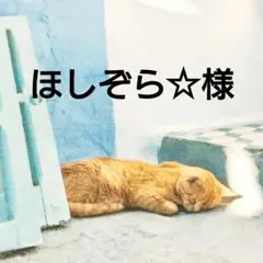 Item thumbnail for item 5d6a0867-65ba-4442-9c0a-1378eb13cc4c