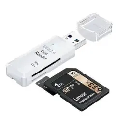 Item thumbnail for item 288bc350-c6d4-45c4-ad41-e5dc8097df23