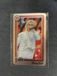 StrayKids エコパ スタジアム フィリックス ライブフォトカード事後販売