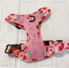 Item thumbnail for item 617c4455-cf5a-457f-a4d0-3b18426e2b1c