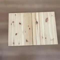 IKEA トロファスト　棚板　2枚