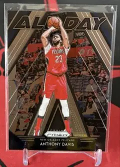 ANTHONY DAVIS トレーディングカード 20
